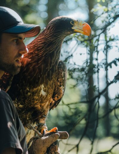 Christian Wick mit Riesenseeadler Miro