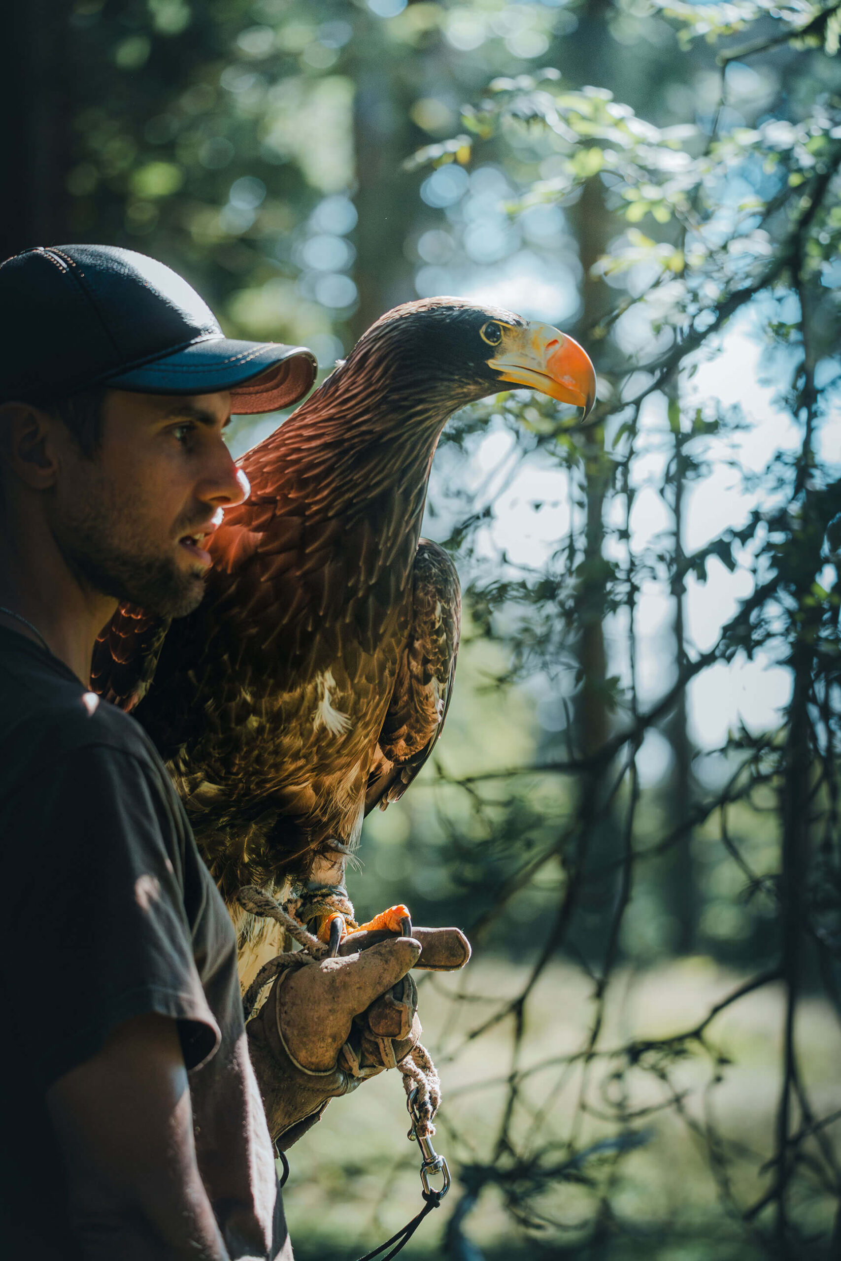 Christian Wick mit Riesenadler Miro am Arm